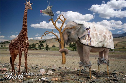 Photoshop Design by hornet83