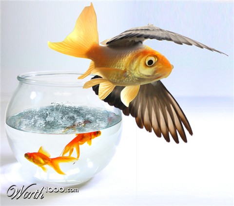 Photoshop Design by Thadeus