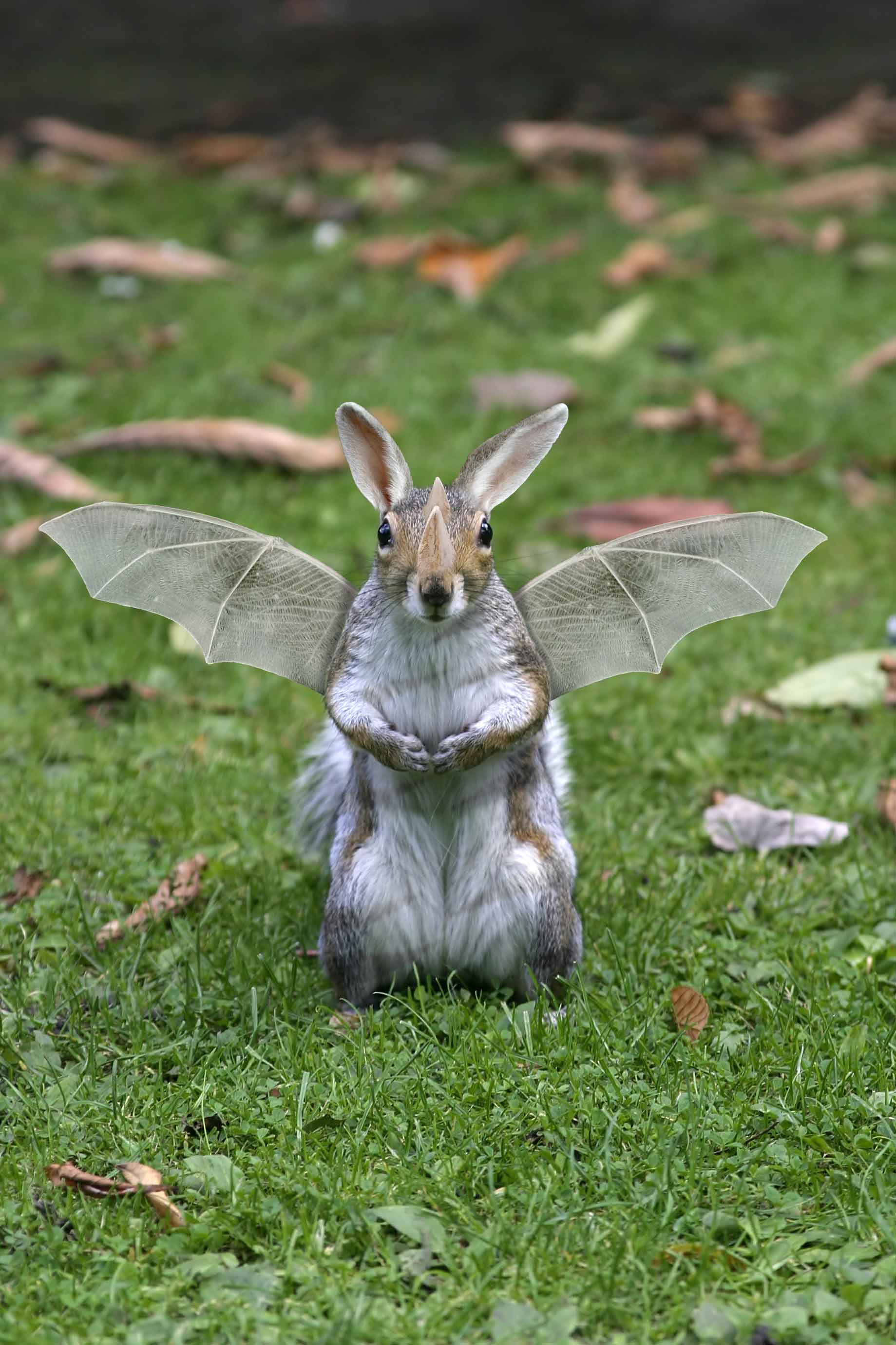 Photoshop Design by Monkeysniffer08 for DesignCrowd (Community Contests) | Design #8991226