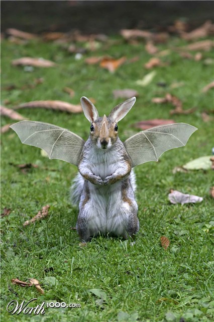 Photoshop Design by Monkeysniffer08