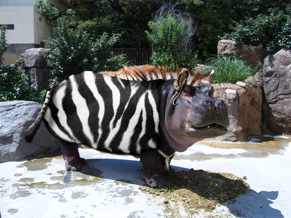 Photoshop Design by PixelTreason for DesignCrowd (Community Contests) | Design #8988566