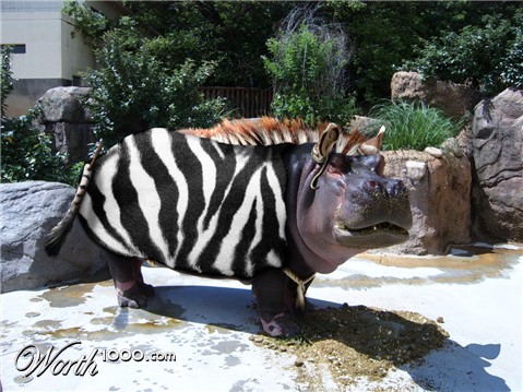 Photoshop Design by PixelTreason