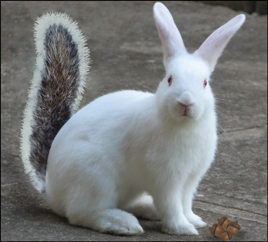 Diseño de Photoshop por anicole27 para DesignCrowd (Community Contests) | Diseño #8988552