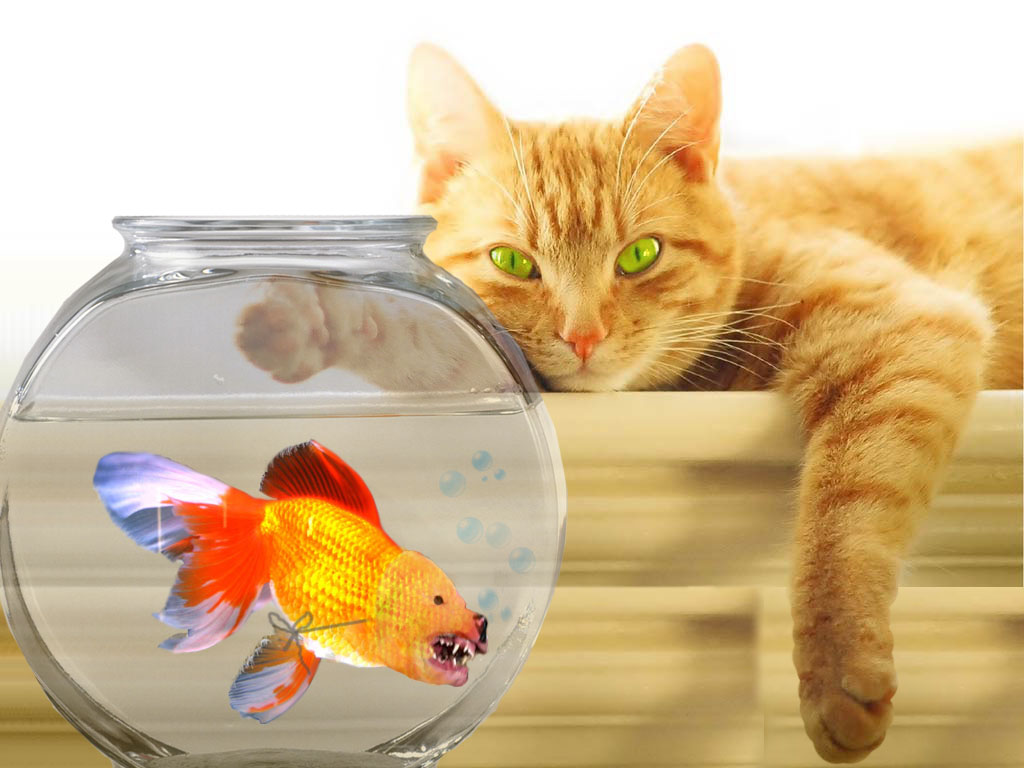 Photoshop Design by sudiptatatha for DesignCrowd (Community Contests) | Design #8988550