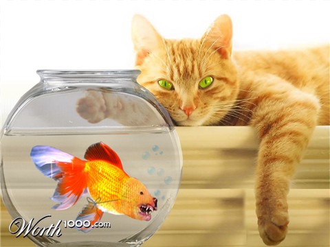 Photoshop Design by sudiptatatha