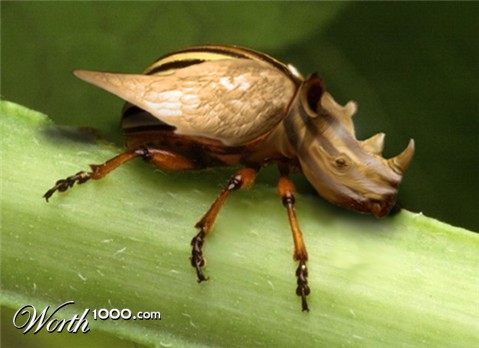 Photoshop Design by savagejon123