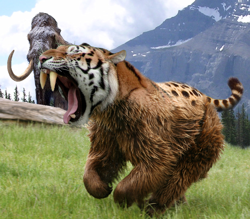 Photoshop Design by Mike62 for DesignCrowd (Community Contests) | Design #8991231