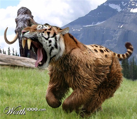 Photoshop Design by Mike62