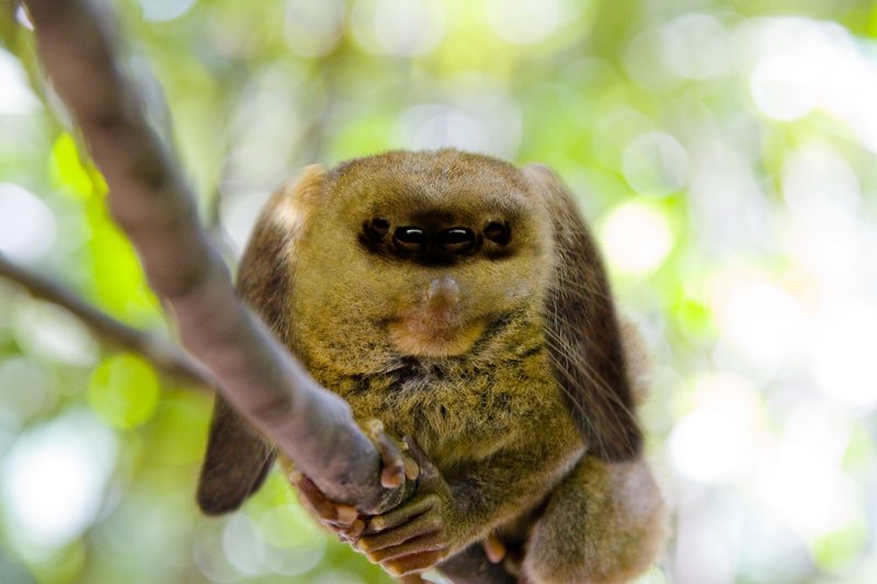 Photoshop Design by Alexisbrujo for DesignCrowd (Community Contests) | Design #8986200