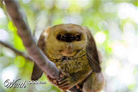 Photoshop Design by Alexisbrujo