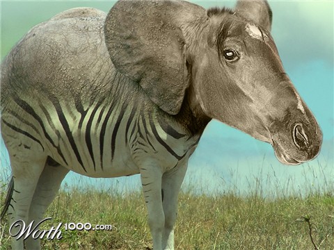 Photoshop Design by LookAndSee