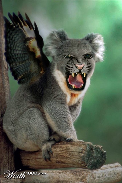 Photoshop Design by smashthatpumpkin