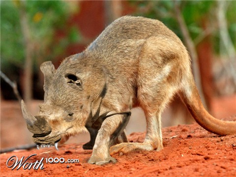 Photoshop Design by tanwal