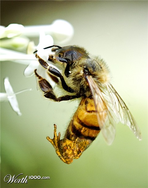 Photoshop Design by kremerb