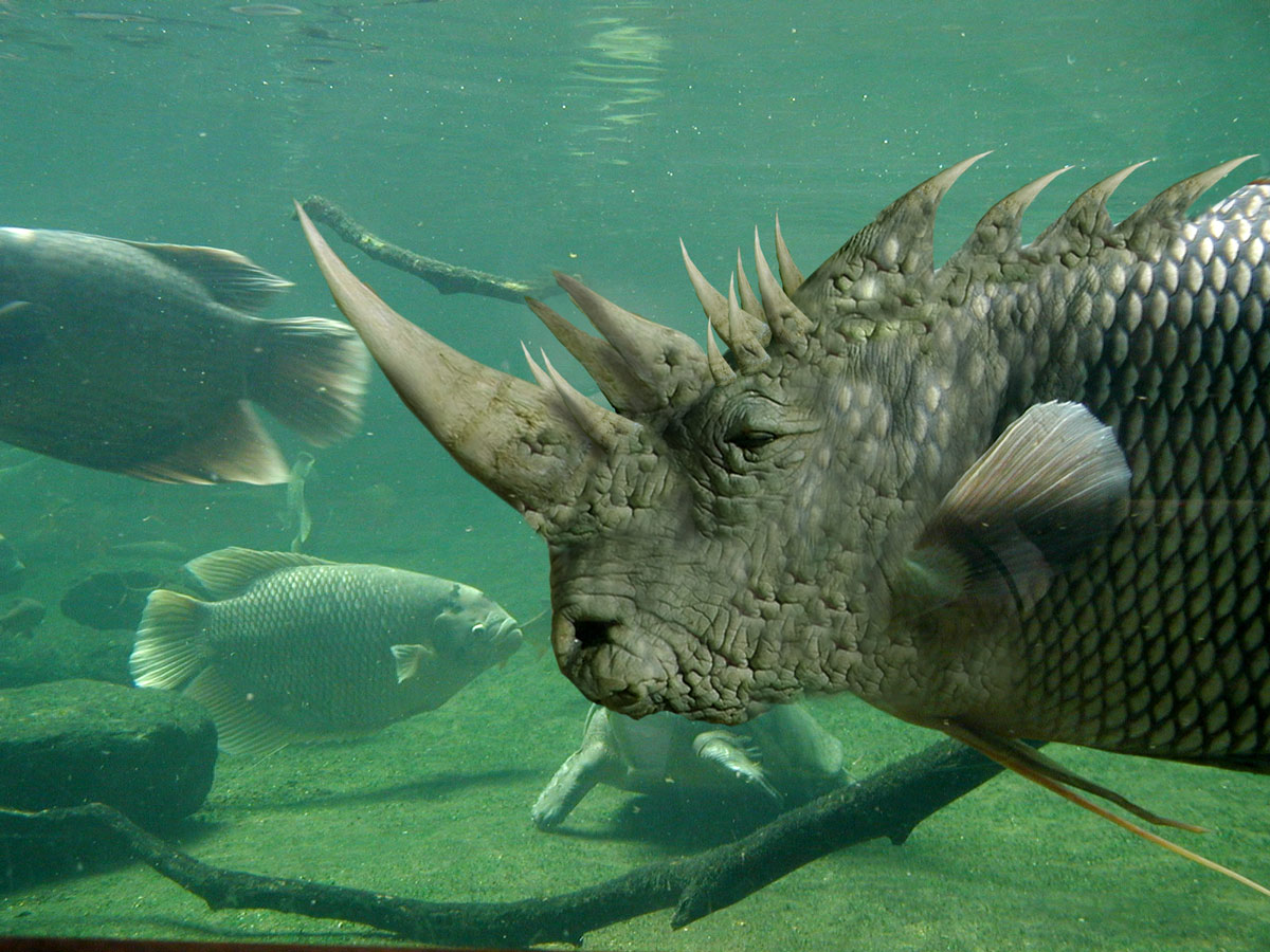 Photoshop Design by Terrence for DesignCrowd (Community Contests) | Design #8991238