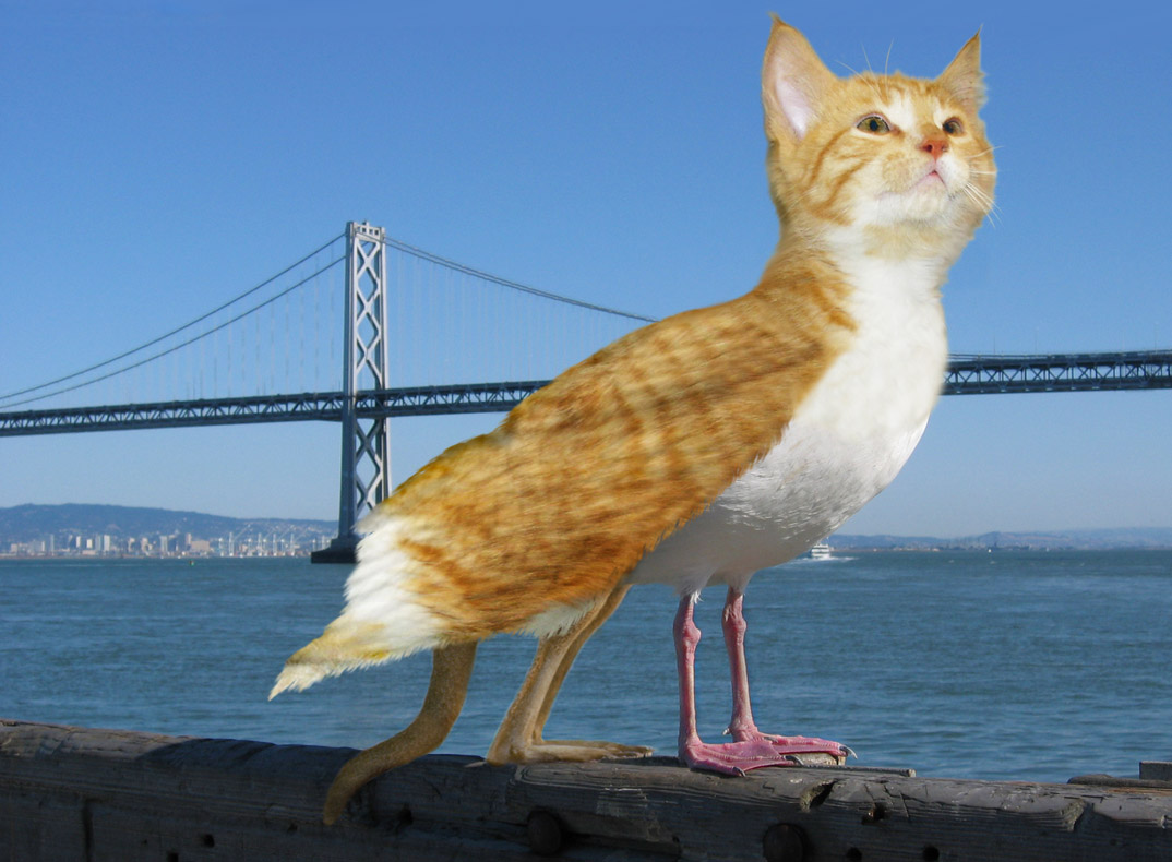 Photoshop Design by phenexus for DesignCrowd (Community Contests) | Design #8986213