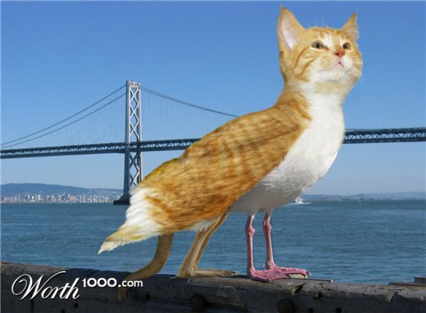 Photoshop Design by phenexus