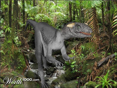 Photoshop Design by anicole27