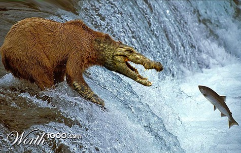 Photoshop Design by kahuahua