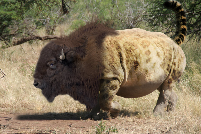 Diseño de Photoshop por MeatSpace para DesignCrowd (Community Contests) | Diseño #8986225