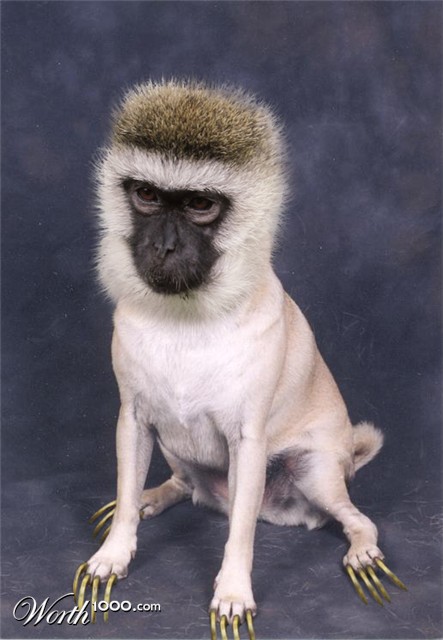 Photoshop Design by sunnythekid