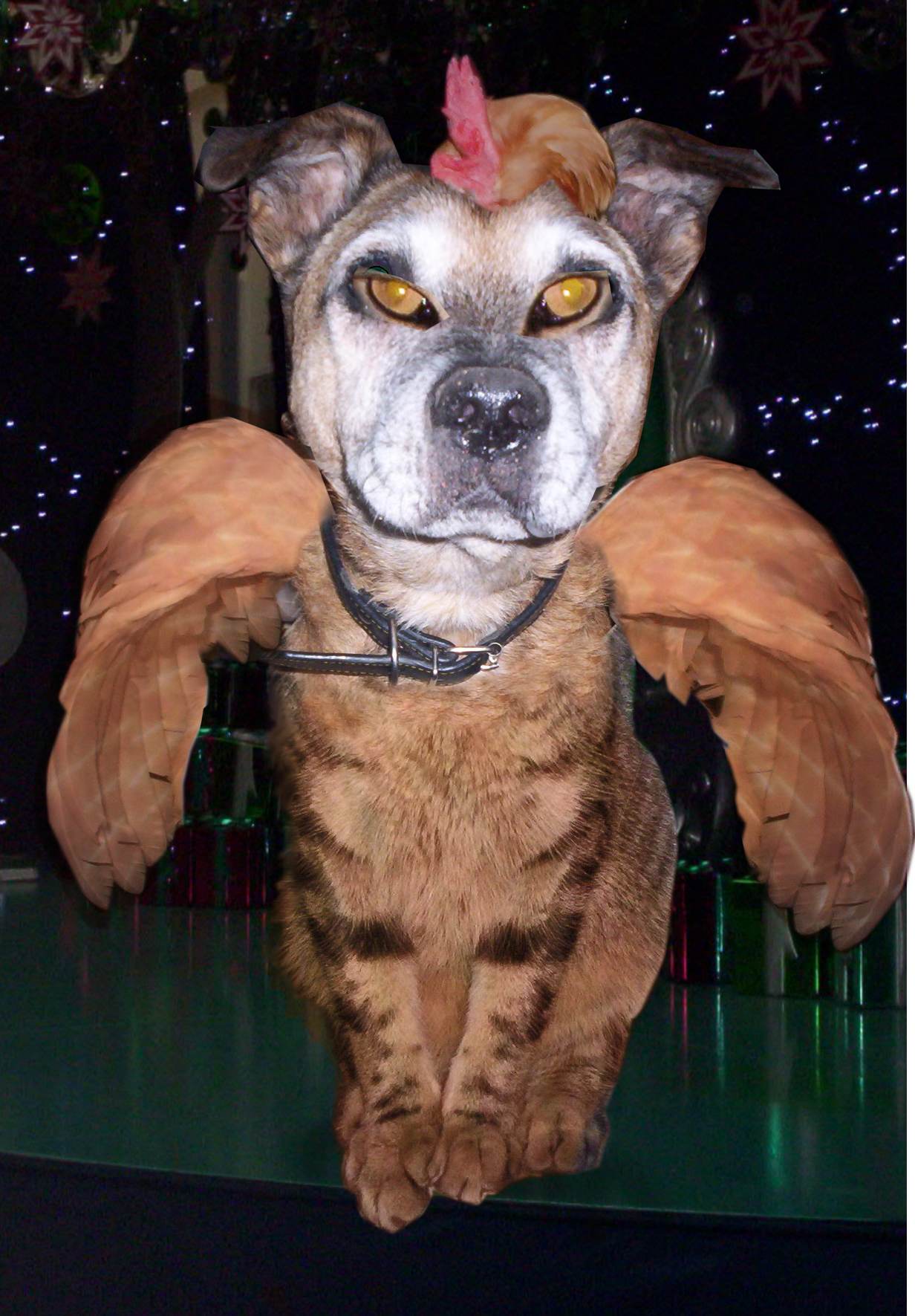 Photoshop Design by philgtaylor for DesignCrowd (Community Contests) | Design #8986210