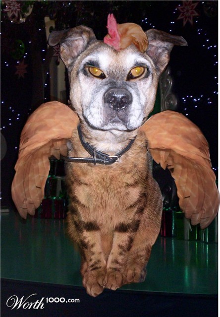 Photoshop Design by philgtaylor