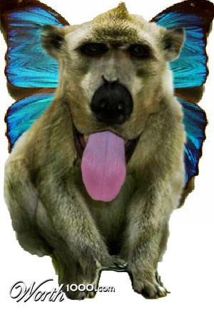 Photoshop Design by Angelicangellover