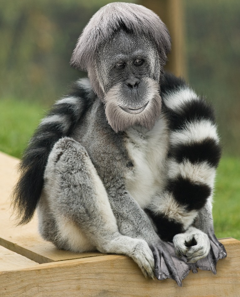 Design Photoshop par MissGator pour DesignCrowd (Community Contests) | Design #8986218