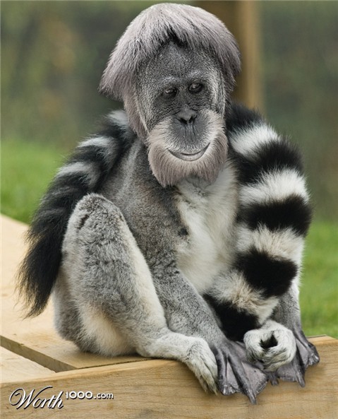 Photoshop Design by MissGator