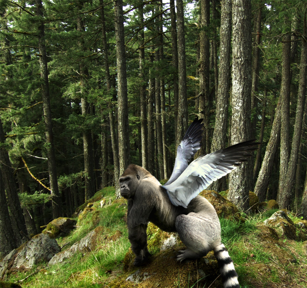 Photoshop Design by PixelTreason for DesignCrowd (Community Contests) | Design #8986256