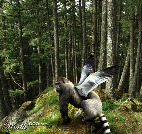 Photoshop Design by PixelTreason