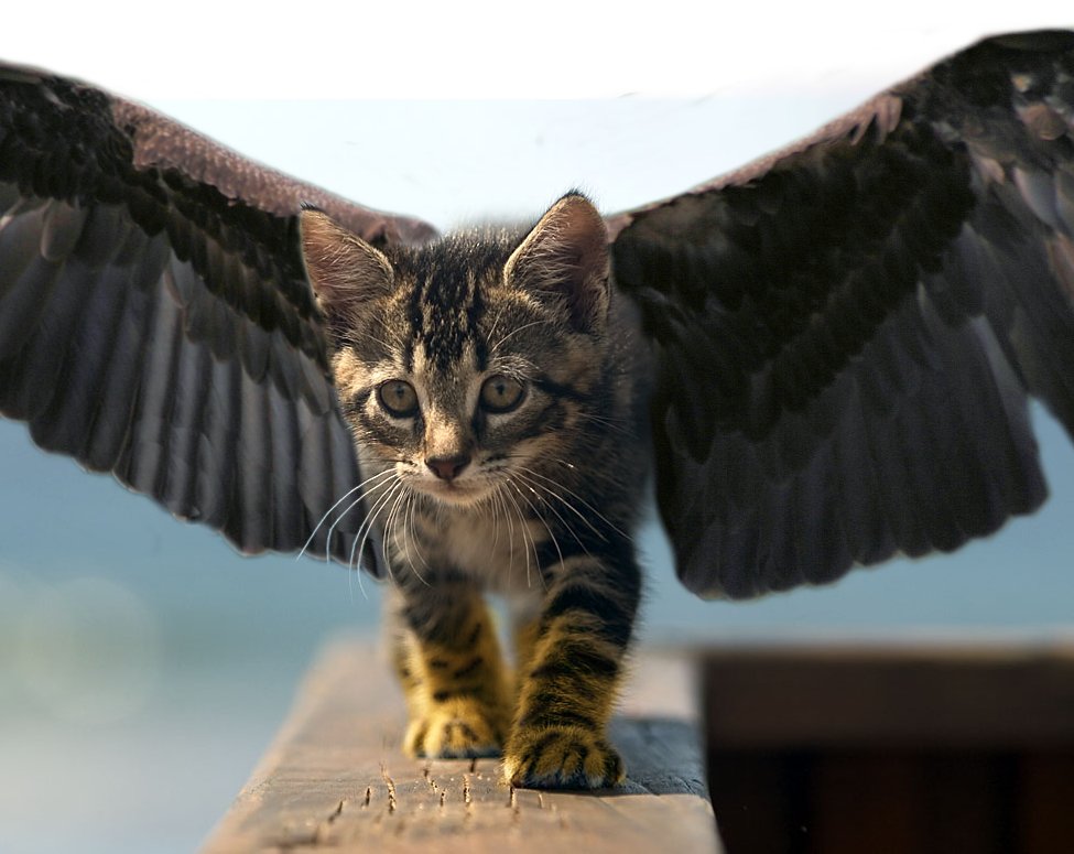 Photoshop Design by Stonee for DesignCrowd (Community Contests) | Design #8986249