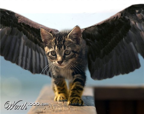 Photoshop Design by Stonee