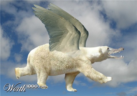 Photoshop Design by IceYeti