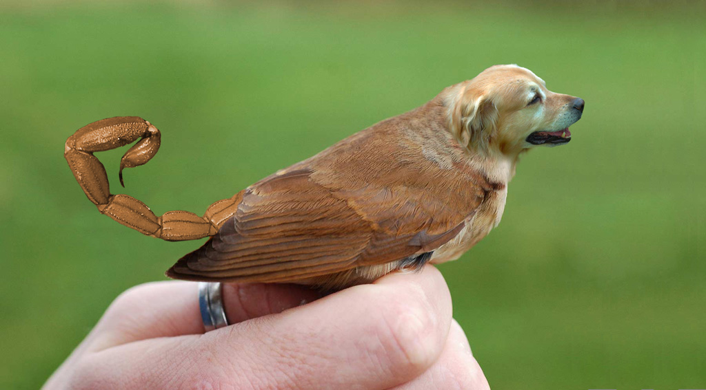 Diseño de Photoshop por lovisolisa para DesignCrowd (Community Contests) | Diseño #8986250