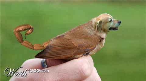 Photoshop Design by lovisolisa