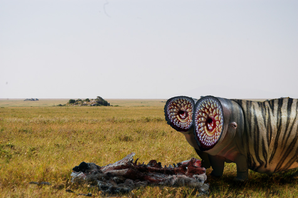 Photoshop Design by robotlick for DesignCrowd (Community Contests) | Design #8986245