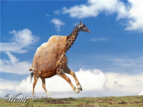 Photoshop Design by shashankk