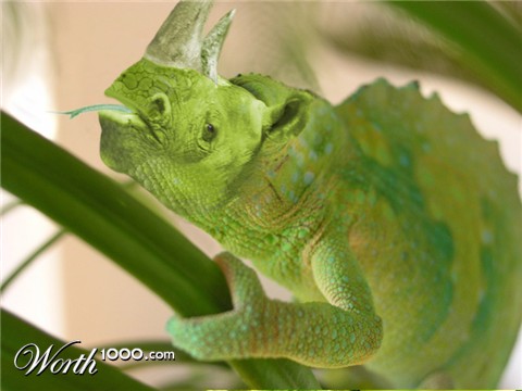 Photoshop Design by cdomingo