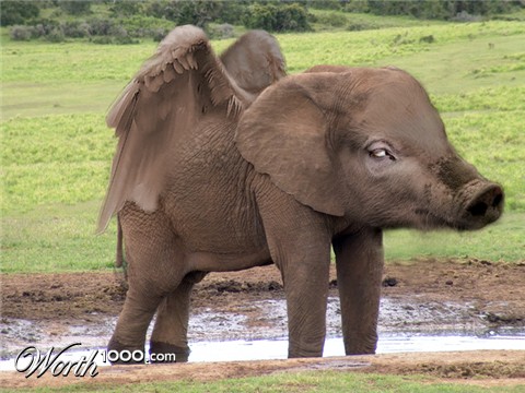 Photoshop Design by imgeorge