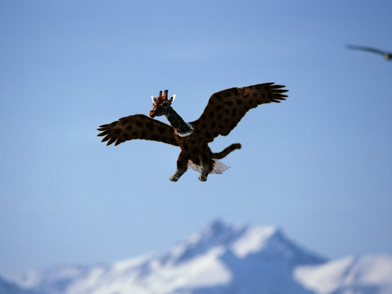 Design Photoshop par subhani pour DesignCrowd (Community Contests) | Design #8986241