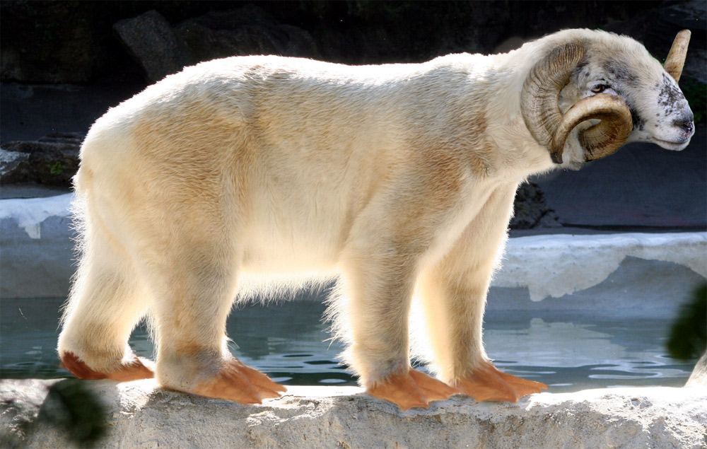 Photoshop Design by kwize53 for DesignCrowd (Community Contests) | Design #8986229