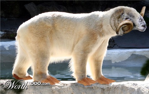 Photoshop Design by kwize53