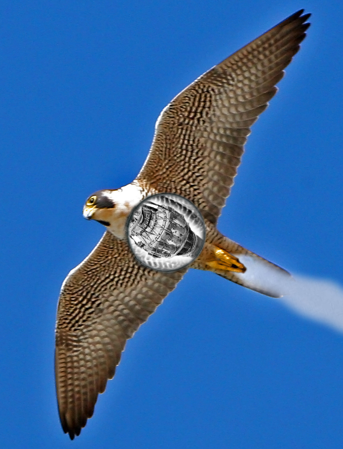 Diseño de Photoshop por smashthatpumpkin para DesignCrowd (Community Contests) | Diseño #8988082