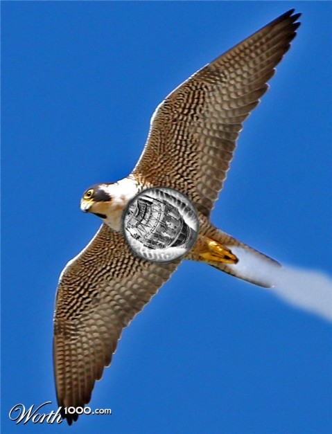 Photoshop Design by smashthatpumpkin