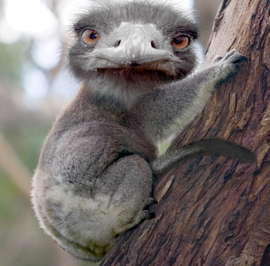 Photoshop-Design von MeRamey für DesignCrowd (Community Contests) | Design #8986237