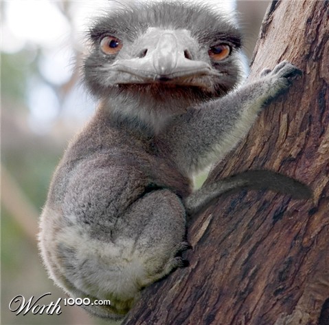 Photoshop Design by MeRamey