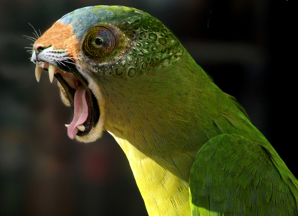 Photoshop Design by tehrev for DesignCrowd (Community Contests) | Design #8986252