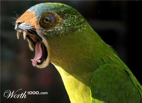 Photoshop Design by tehrev